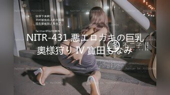 NITR-431 悪エロガキの巨乳奧様狩り IV 寶田もなみ