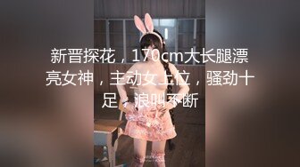 新晋探花，170cm大长腿漂亮女神，主动女上位，骚劲十足，浪叫不断